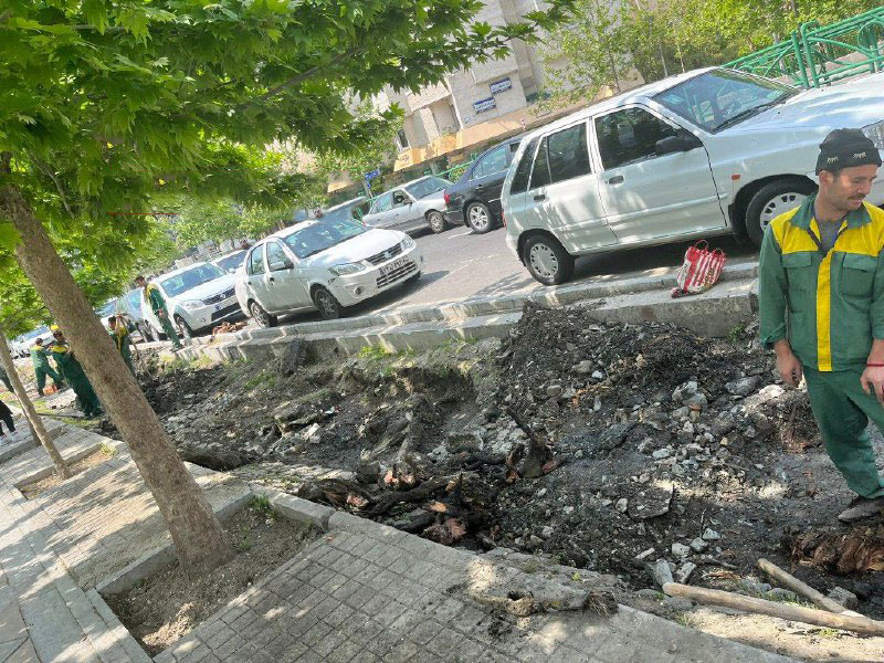 قطع درختان چنار خیابان ولیعصر