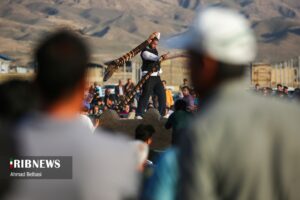 آئین سنتی پهلوانی بیل گردانی نیم ور