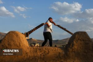 آئین سنتی پهلوانی بیل گردانی نیم ور
