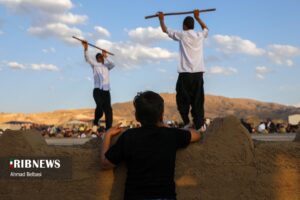 آئین سنتی پهلوانی بیل گردانی نیم ور