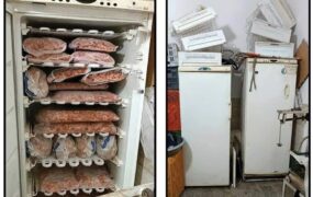 توزیع گوشت آلوده