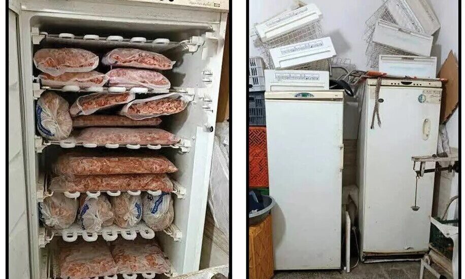 توزیع گوشت آلوده