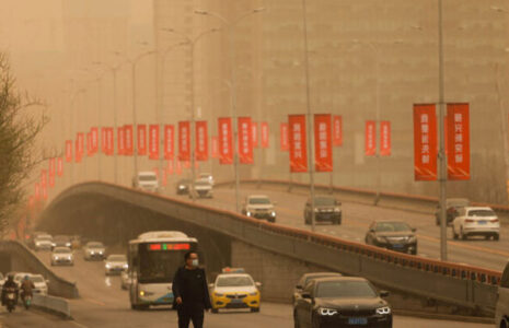 توفان شن زردچین ژاپن