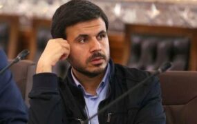 نماینده مجلس واردات خودرو کارکرده