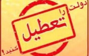 دولت را تعطیل کنید