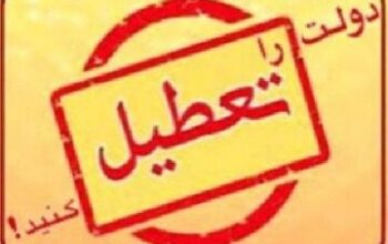 دولت را تعطیل کنید