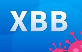 زیرسویه XBB.۱.۵ عامل اصلی افزایش کرونا