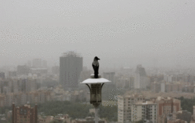 شرایط ناسالم هوا برای گروه‌های حساس