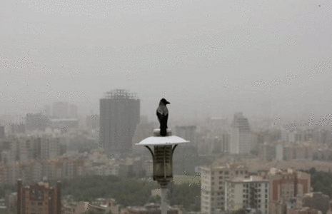 شرایط ناسالم هوا برای گروه‌های حساس