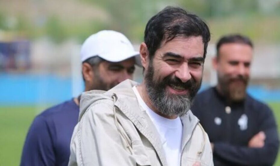 شهاب حسینی