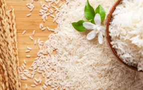 قیمت جدید انواع برنج ایرانی و خارجی