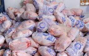 مرغ 45 هزارتومانی