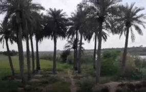 نبود خدمات شهری در محله چُنیبه سفلی اهواز