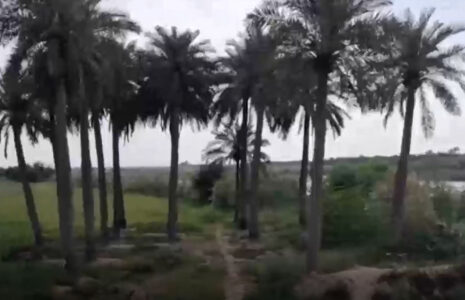 نبود خدمات شهری در محله چُنیبه سفلی اهواز