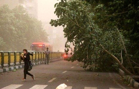 وزش باد شدید در جنوب تهران وزش باد شدید در جنوب تهران