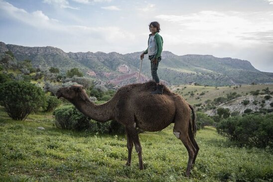 دیدنی های امروز؛ از حمله پهپادی به اوکراین تا تظاهرات راهبان کره جنوبی وام خرید مسکن به ۵۵۰ میلیون تومام خواهد رسید.