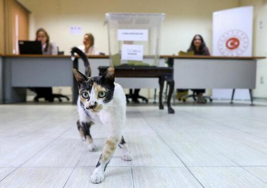 برگزاری مرحله دوم انتخابات ریاست جمهوری ترکیه 