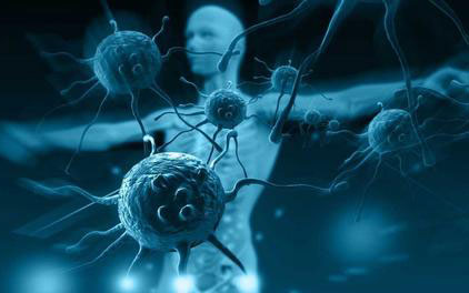 خوراکی‌های تضعیف کننده سیستم ایمنی بدن