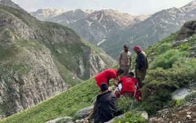 سرنوشت جوینده گنج گیاهی در قندیل