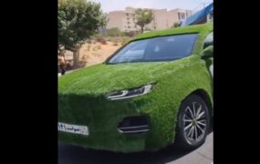شکار خودرو با پوشش چمن مصنوعی