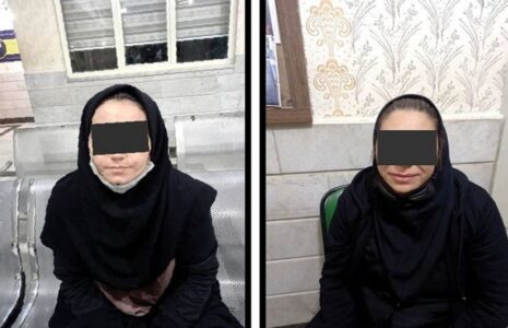 مأموریت 2 زن در سرقت‌های سریالی خانه‌های اعیانی