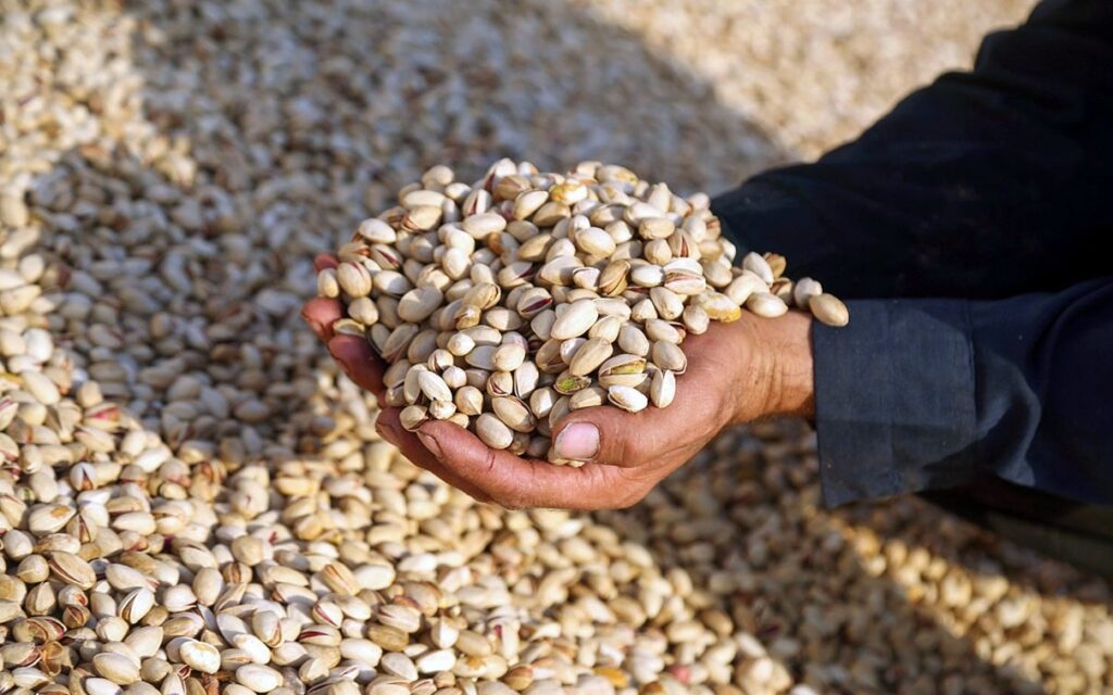 پسته ایرانی