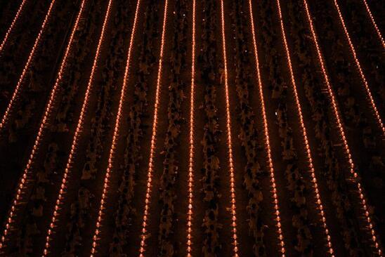 راهبان بودایی در معبدی در تایلند در مراسم جشن تولد بودا