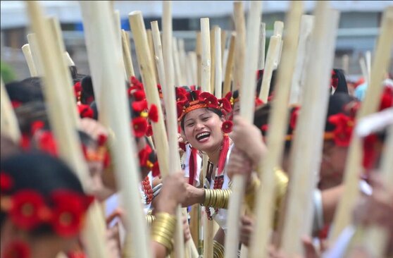  شالی کوبی هند