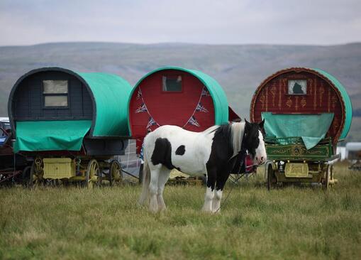 نمایشگاه اسب انگلیس