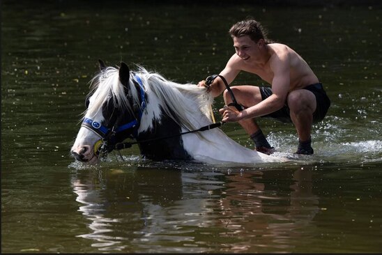 نمایشگاه اسب انگلیس