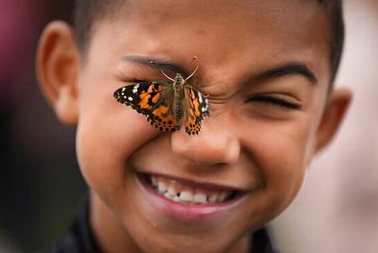 دیدنی های امروز؛ از آتش زدن بانک لبنانی تا زمین خوردن پادشاه نروژ نشستن پروانه روی صورت یک پسر بچه