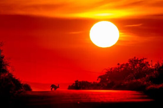 دیدنی های امروز؛ از آتش زدن بانک لبنانی تا زمین خوردن پادشاه نروژ غروب آفتاب در فرانکفورت آلمان