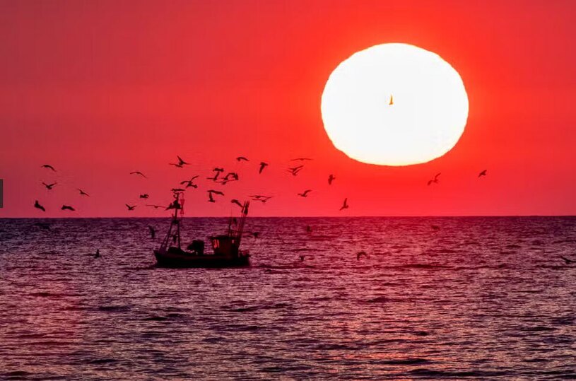 دیدنی های امروز؛ از برخورد پلیس استانبول با رژه همجنسگرایان تا آموزش همگانی بوکس قایق ماهیگیری آلمانی دریای بالیتک