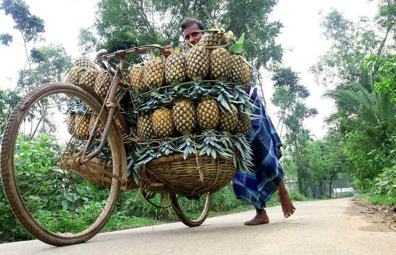 دیدنی های امروز؛ از برخورد پلیس استانبول با رژه همجنسگرایان تا آموزش همگانی بوکس کشاورز بنگلادشی