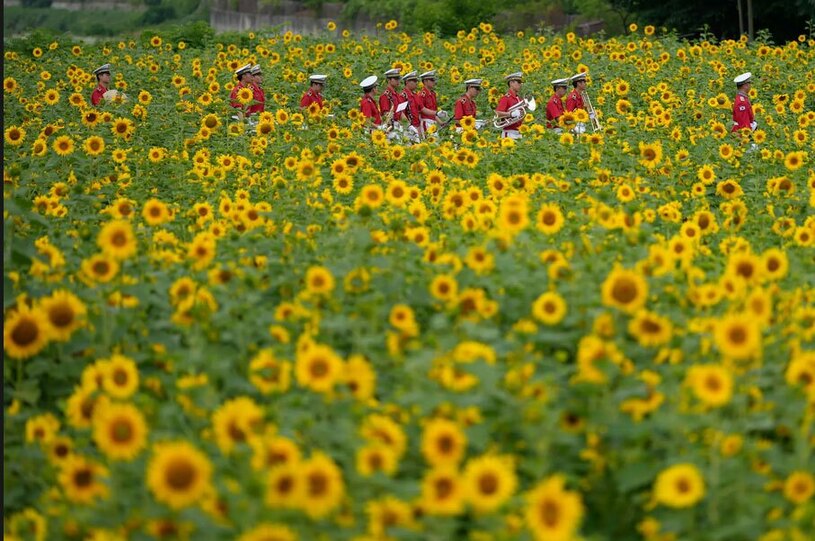 دیدنی های امروز؛ از شورش یک روزه واگنر تا قطار سواری پادشاه هلند ارکستر نظامی مرزعه گل آفتابگردان