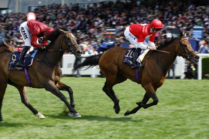 دیدنی های امروز؛ از جشنواره ارواح تا روز جهانی فولکس های قورباغه ای مسابقات سالانه اسب سواری سلطنتی