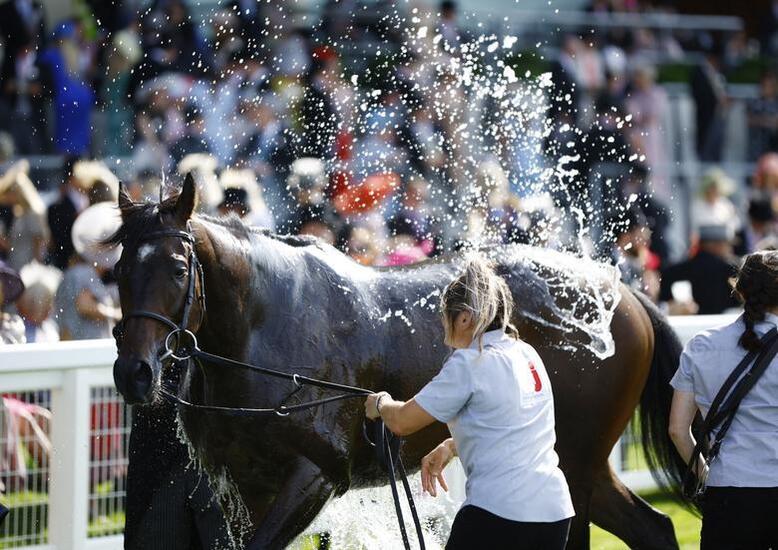 مسابقات سالانه اسب سواری سلطنتی 