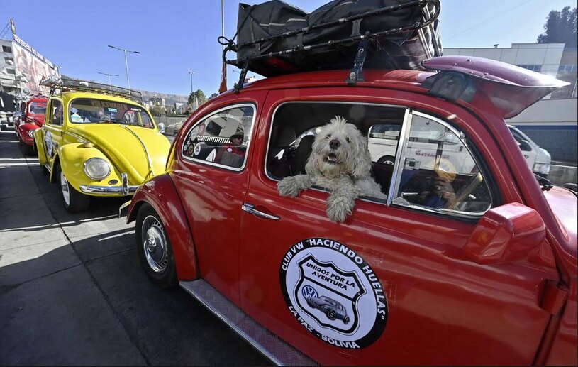 دیدنی های امروز؛ از جشنواره ارواح تا روز جهانی فولکس های قورباغه ای رژه فولکس واگن های بیتل