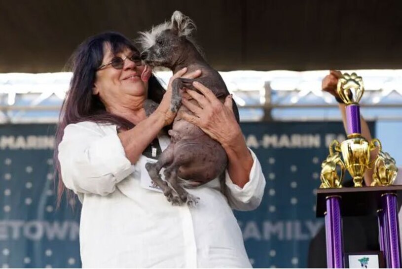 دیدنی های امروز؛ از جشنواره ارواح تا روز جهانی فولکس های قورباغه ای برنده مسابقه زشت ترین سگ دنیا 2023