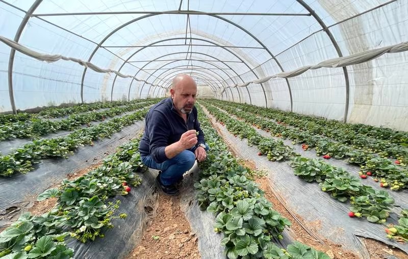 خاورمیانه چگونه با بحران کم آبی دست و پنجه نرم می کند؟ کمبود آب در خاورمیانه 2