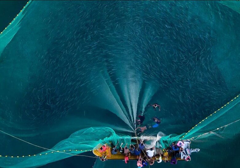 ماهیگیری سواحل ونزوئلا