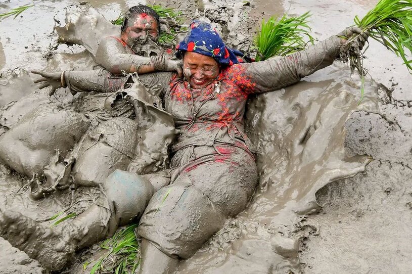 روز ملی شالیزار در نپال