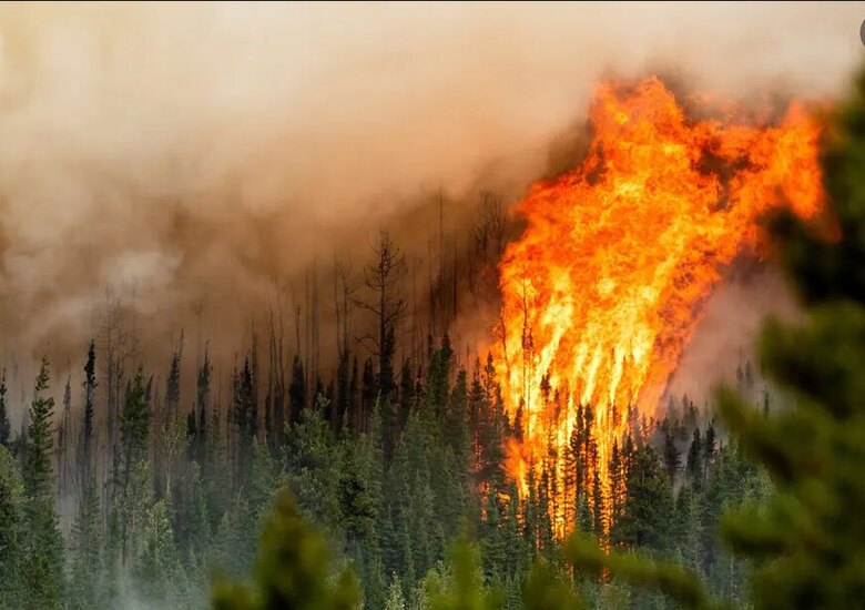 دیدنی های امروز؛ از حمله اسراییل به جنین تا ادامه اعتراضات فرانسه آتش سوزی جنگلی در ایالت بریتیش