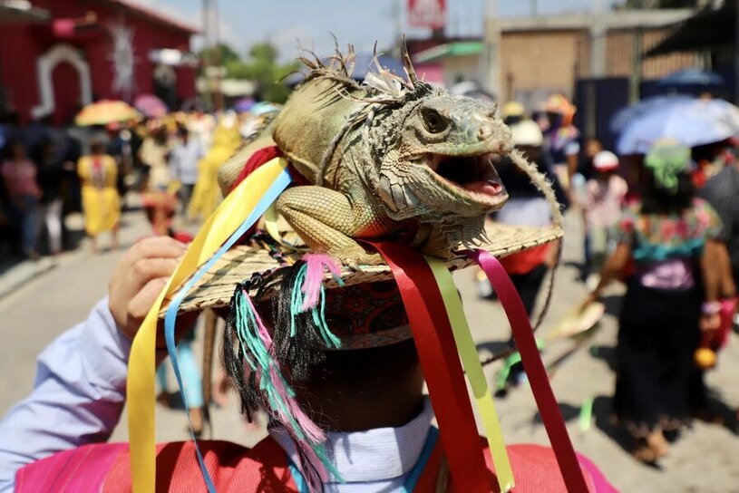 دیدنی های امروز؛ از خودروهای چینی صادراتی تا اوضاع جنین جشنواره بومیان مکزیک