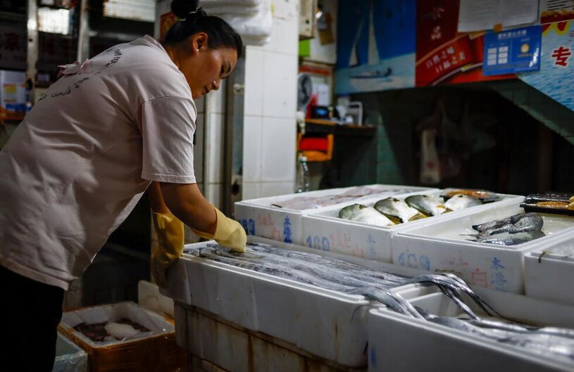 دیدنی های امروز؛ از کنفرانس آینده هوش مصنوعی تا جشنواره اسپانیایی بازار ماهی در شهر پکن