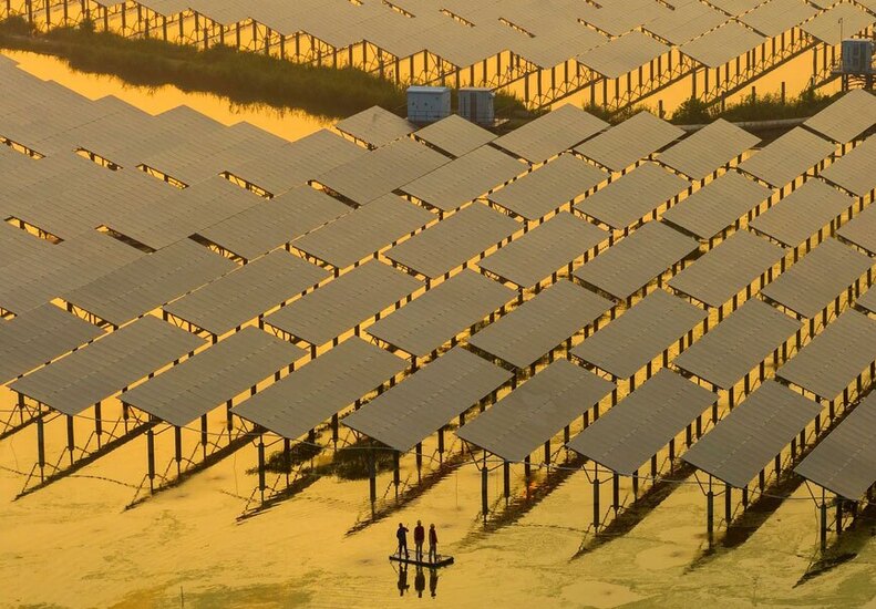 دیدنی های امروز؛ از سیل کره جنوبی تا اسب های وحشی اسپانیایی یک نیروگاه خورشیدی چین