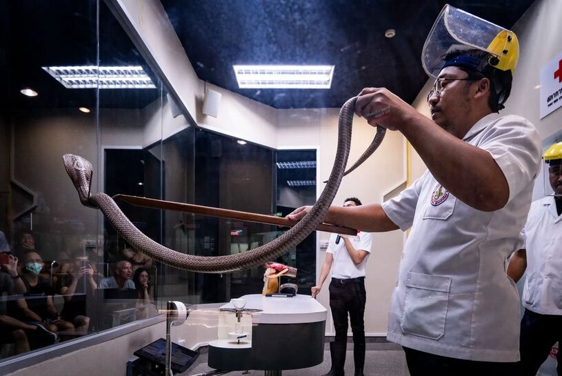 دیدنی های امروز؛ از سیل کره جنوبی تا اسب های وحشی اسپانیایی یک مرکز پرورش مارهای سمی