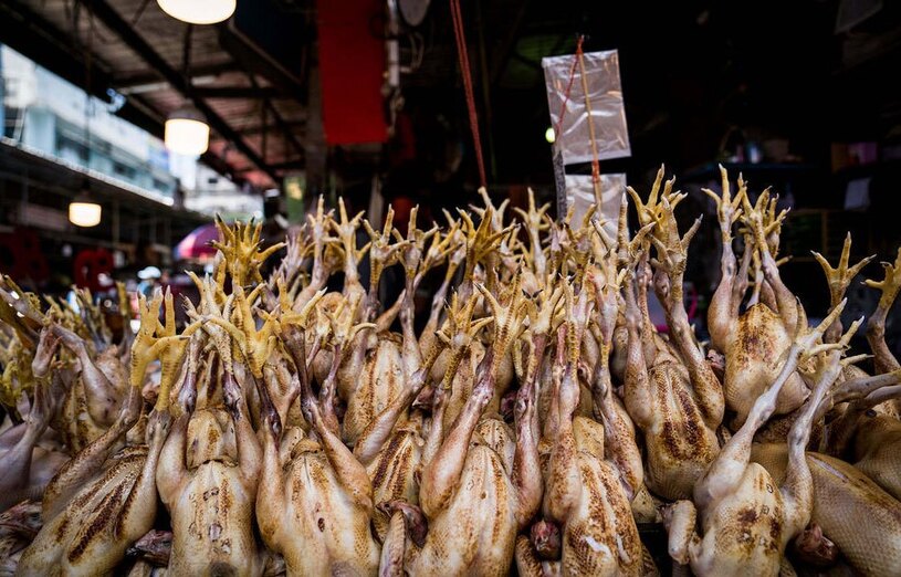 دیدنی های امروز؛ از سیل کره جنوبی تا اسب های وحشی اسپانیایی مرغ های فروشی در بازار