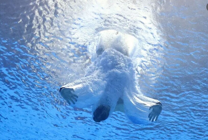 ورزشهای آبی فوکوکا ژاپن