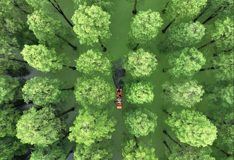 نمایی هوایی از گردشگرانی که در حال قایق سواری در جنگلی آبی